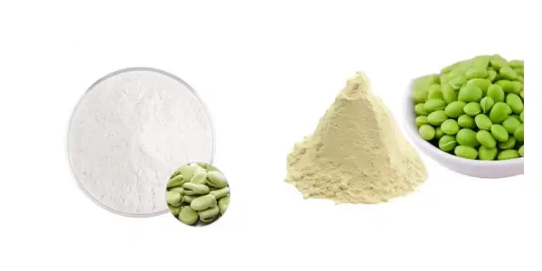 Fava Bean Protein Powder.webp